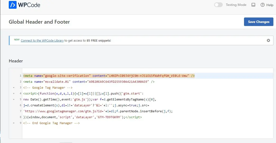 Plugin For Tag Manager Code Header